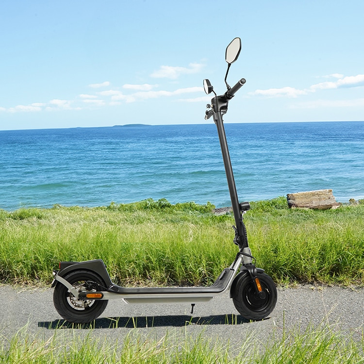 海辺の道に置かれた電動キックスケーター